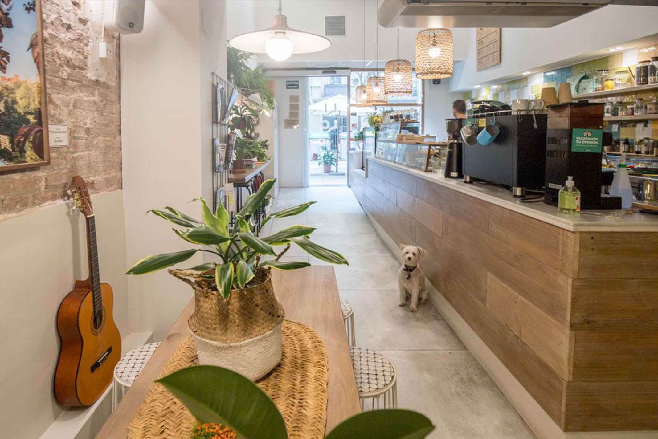 lilo brunch coffee