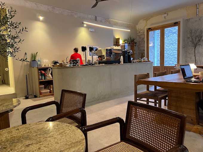 swallow specialty coffee