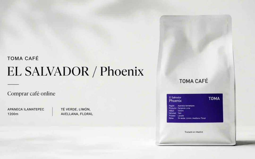 TOMA CAFÉ | El Salvador Phoenix